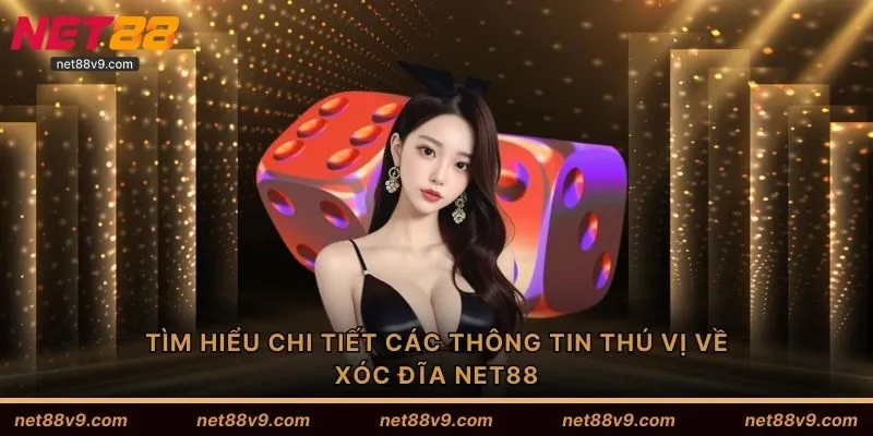 Tìm hiểu chi tiết các thông tin thú vị về xóc đĩa NET88